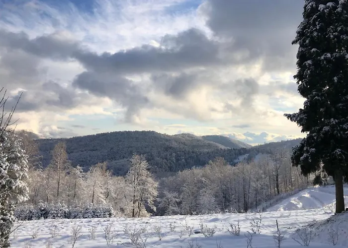 Pod Bukom * Predna Hora